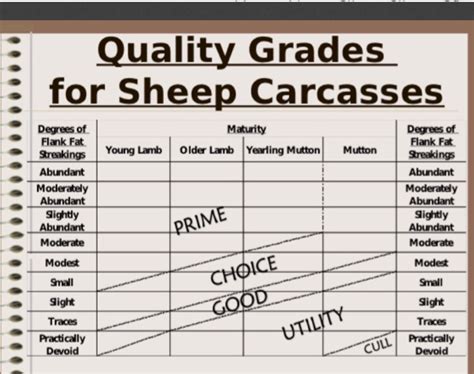 what are the five quality grades for lamb